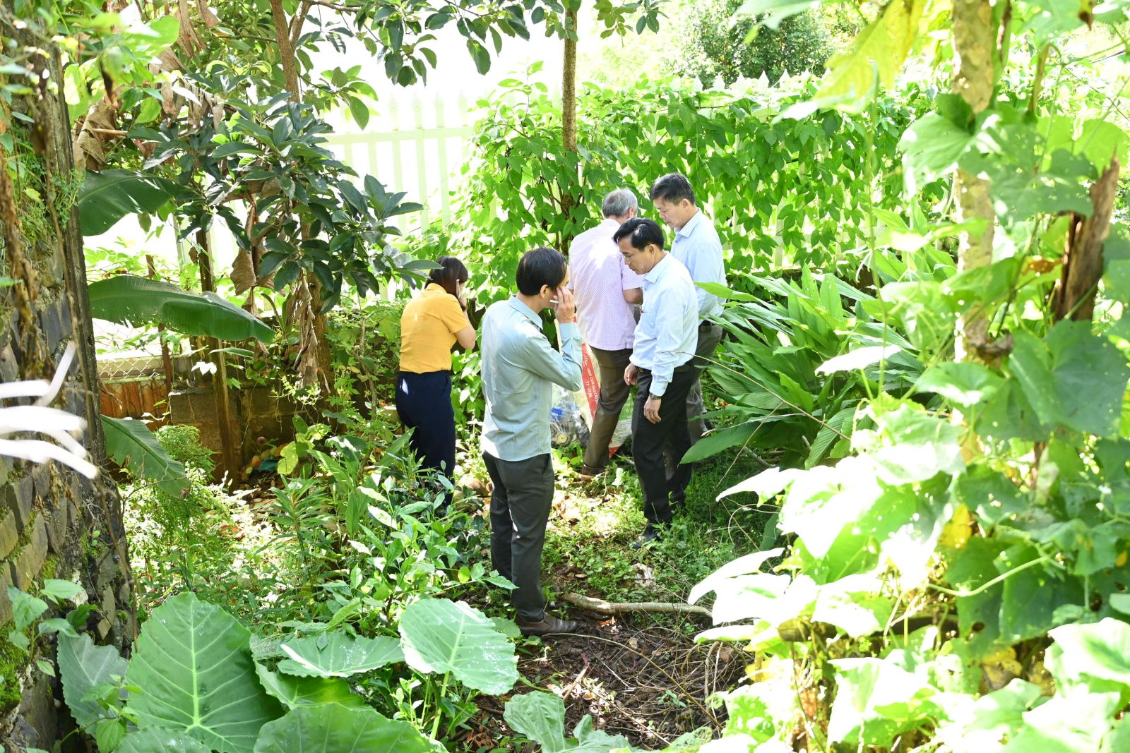 Khảo sát vệ sinh môi trường tại nhà hộ dân